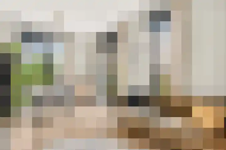 Rookmelderstraat 98 Amsterdam thumbnail 5
