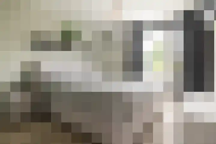 Roolvinkstraat 10 Oosterhout thumbnail 19