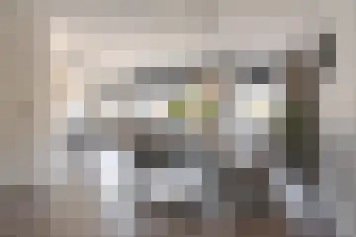 Roolvinkstraat 11 Zwolle thumbnail 10