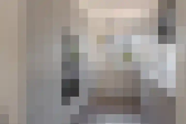 Roolvinkstraat 11 Zwolle thumbnail 15
