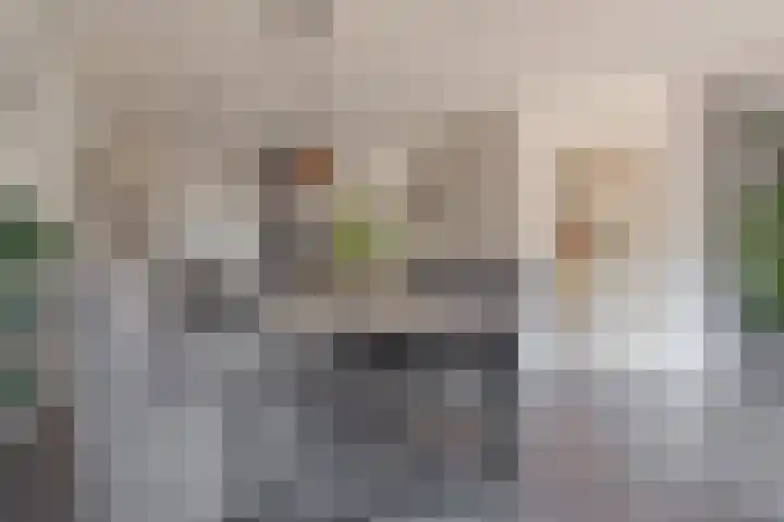 Roolvinkstraat 11 Zwolle thumbnail 18