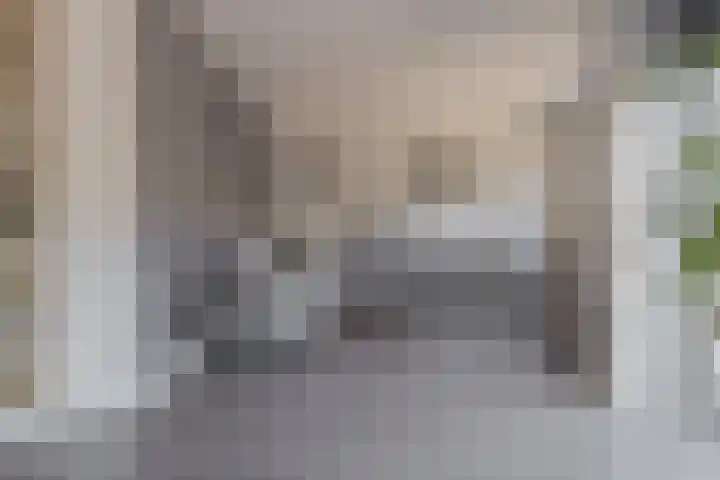 Roolvinkstraat 11 Zwolle thumbnail 19