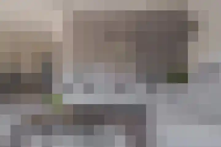 Roolvinkstraat 11 Zwolle thumbnail 21