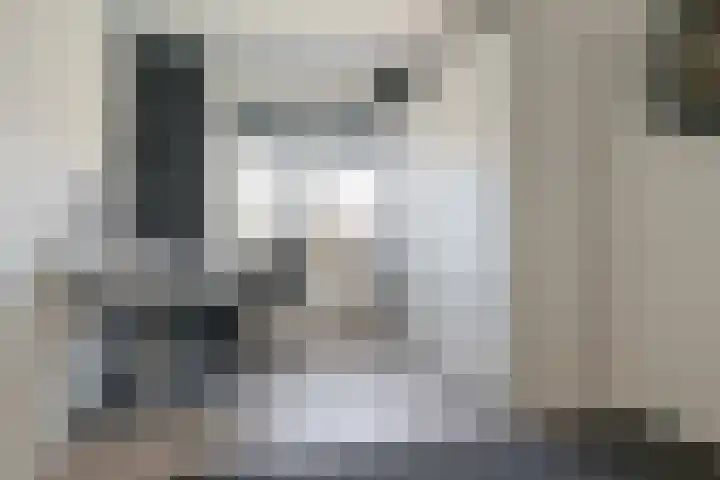 Roolvinkstraat 11 Zwolle thumbnail 32