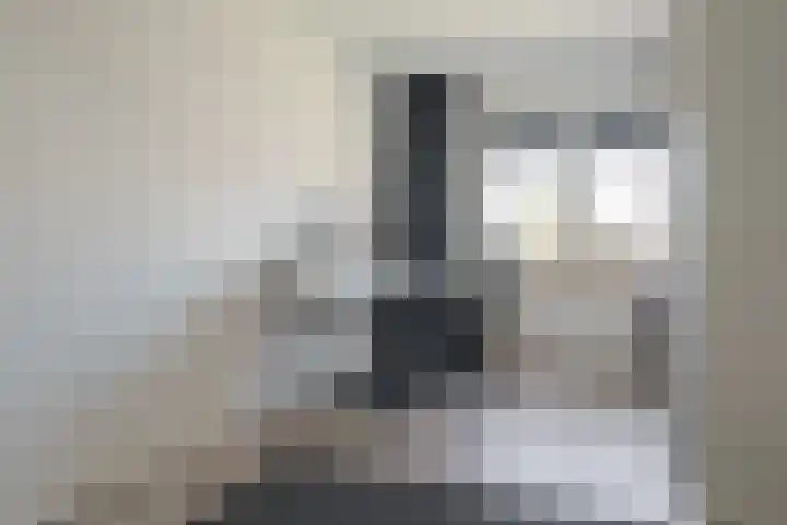 Roolvinkstraat 11 Zwolle thumbnail 33