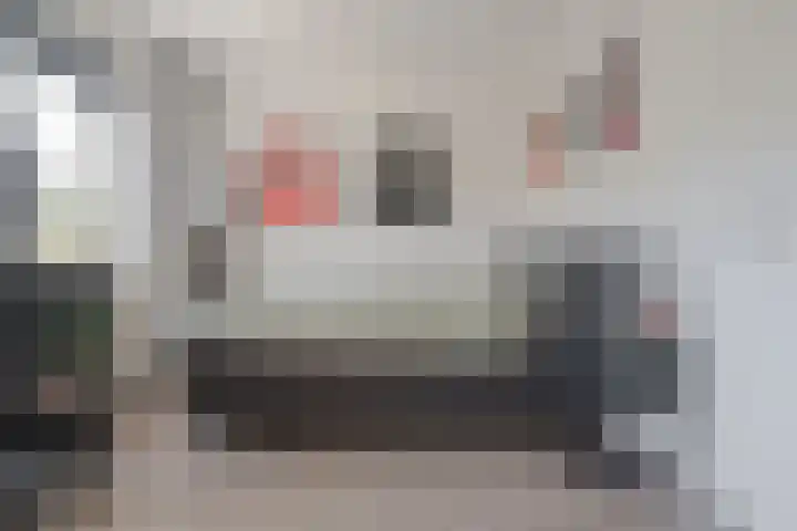 Roolvinkstraat 11 Zwolle thumbnail 38