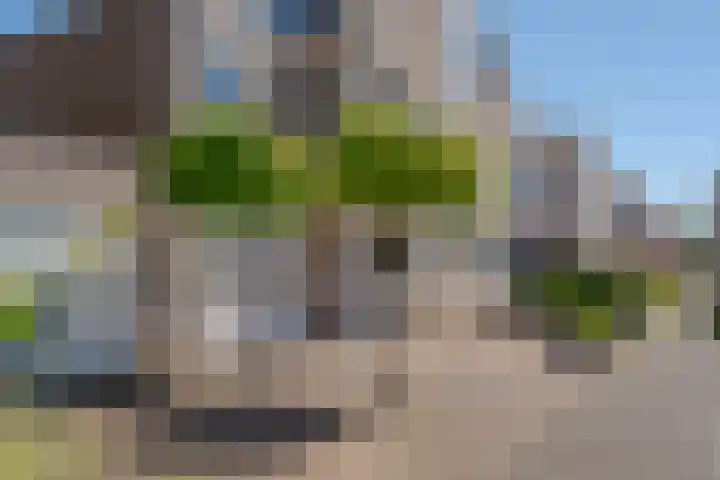 Roolvinkstraat 11 Zwolle thumbnail 6