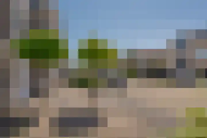 Roolvinkstraat 11 Zwolle thumbnail 7