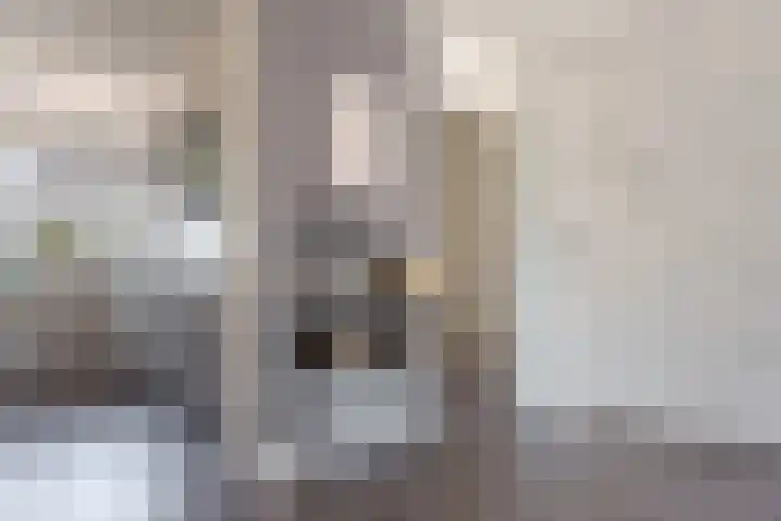 Roolvinkstraat 11 Zwolle thumbnail 9