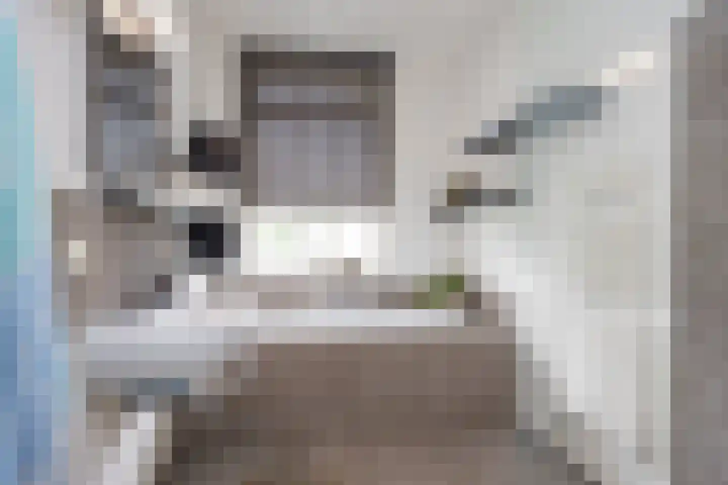 Roolvinkweg 30 Enschede thumbnail 24