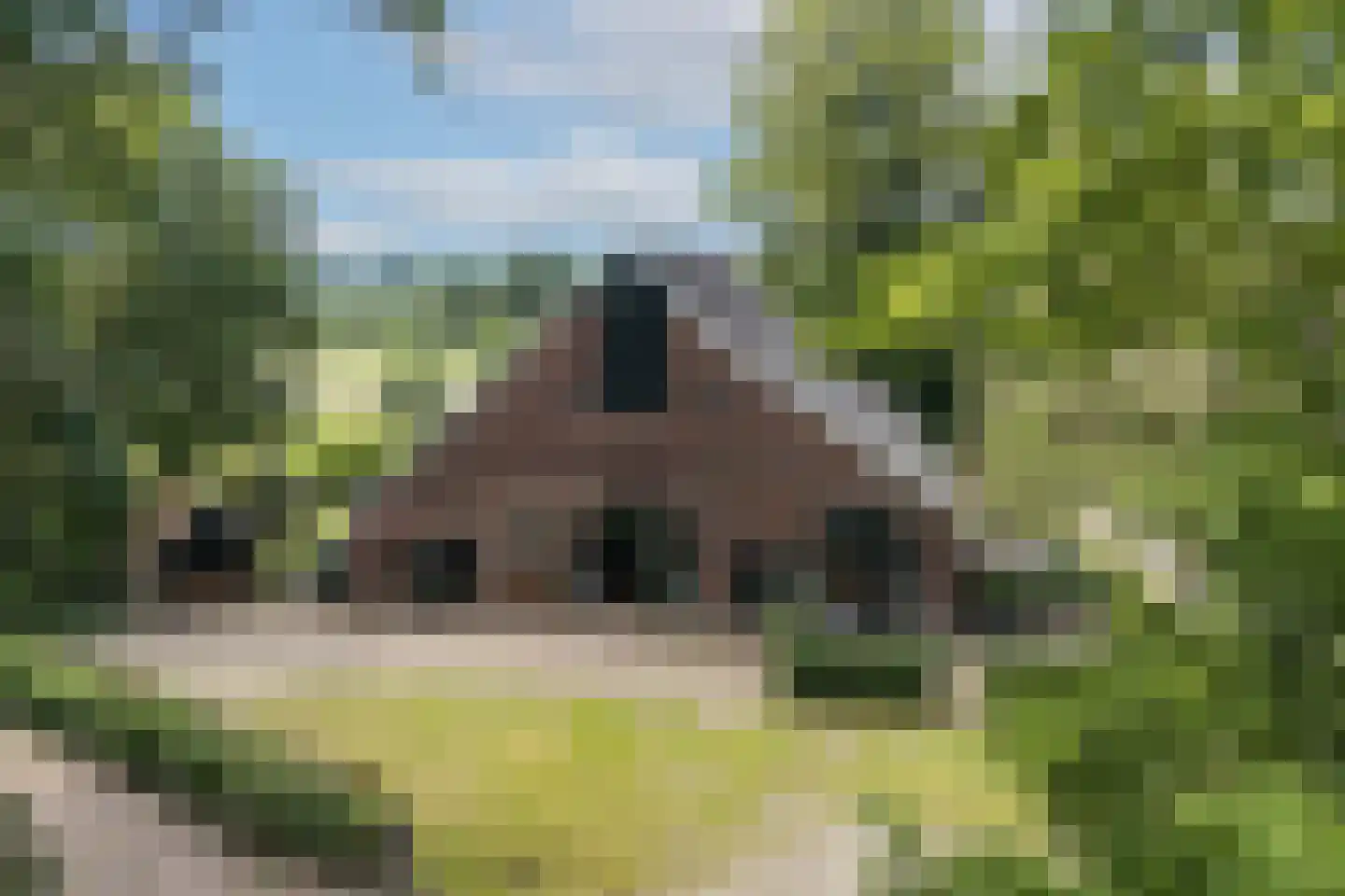 Roolvinkweg 30 Enschede thumbnail 27