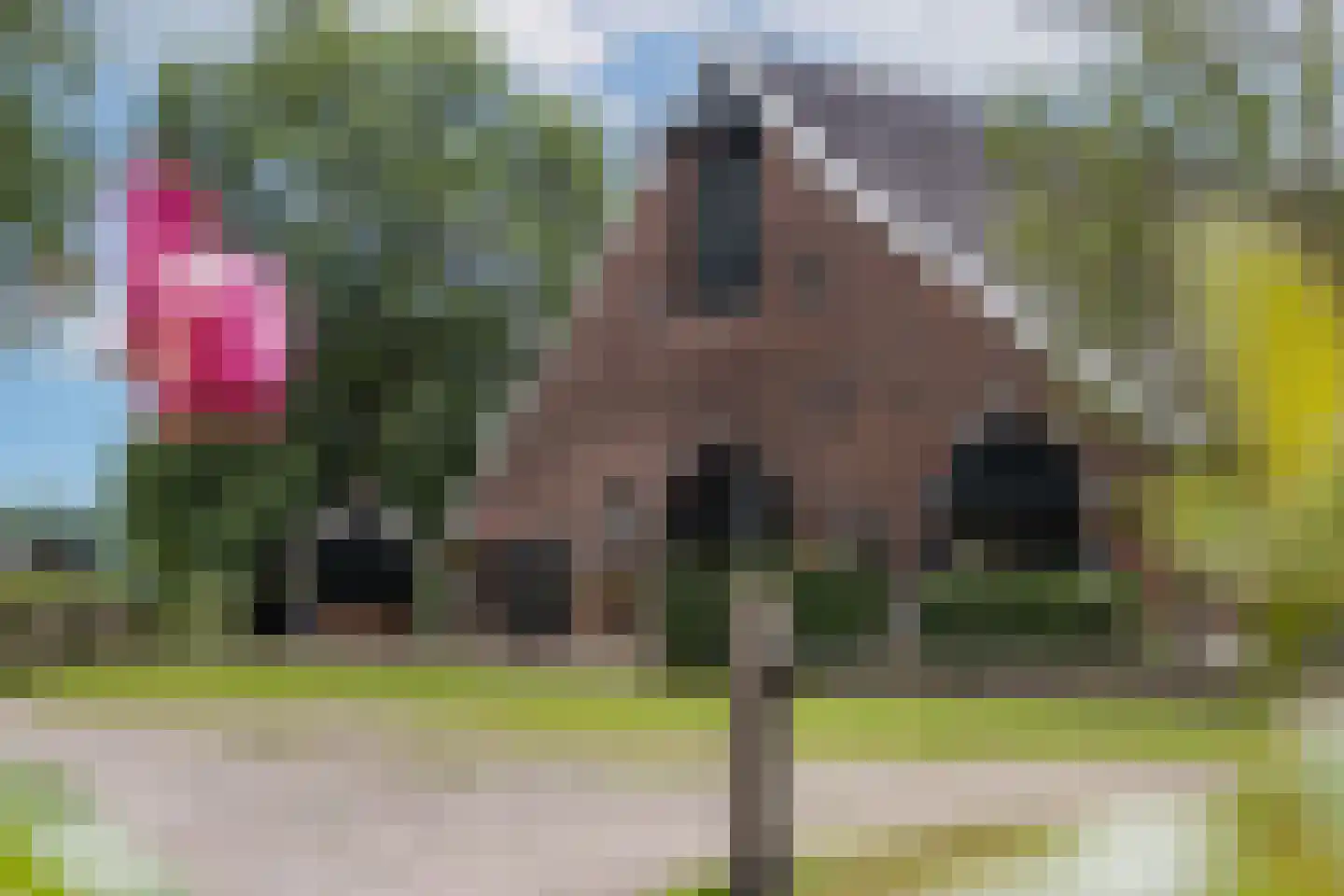 Roolvinkweg 30 Enschede thumbnail 28