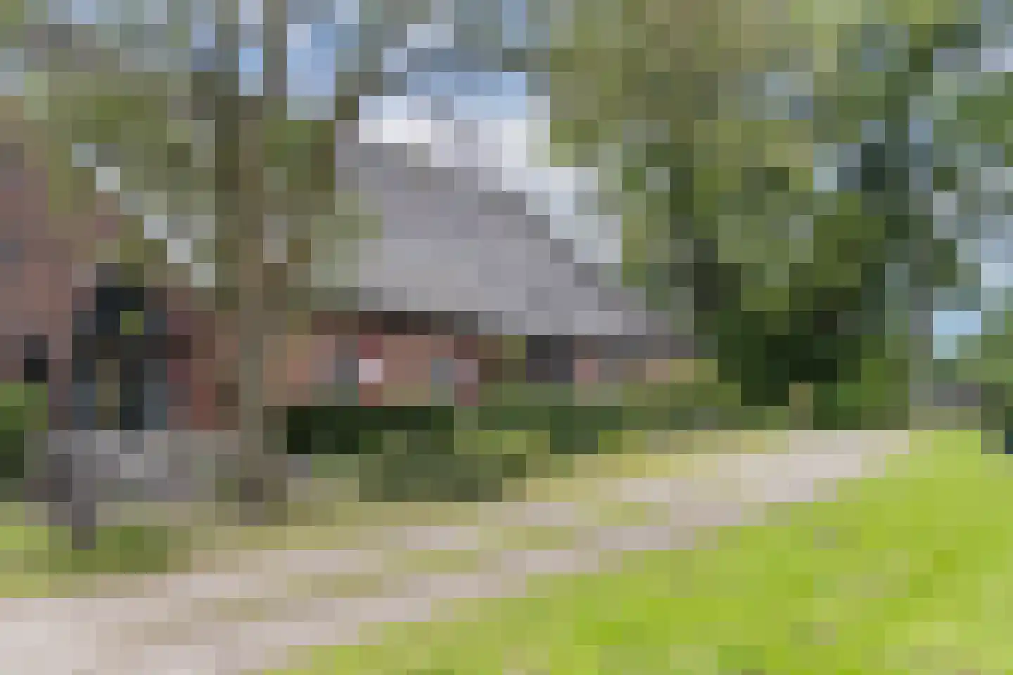Roolvinkweg 30 Enschede thumbnail 5