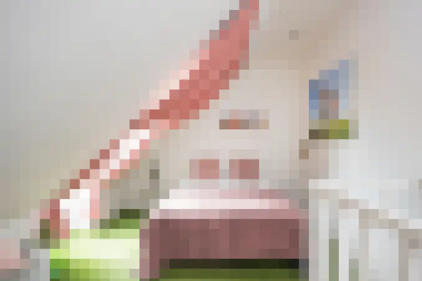 Roolvinkweg 30 Enschede thumbnail 52
