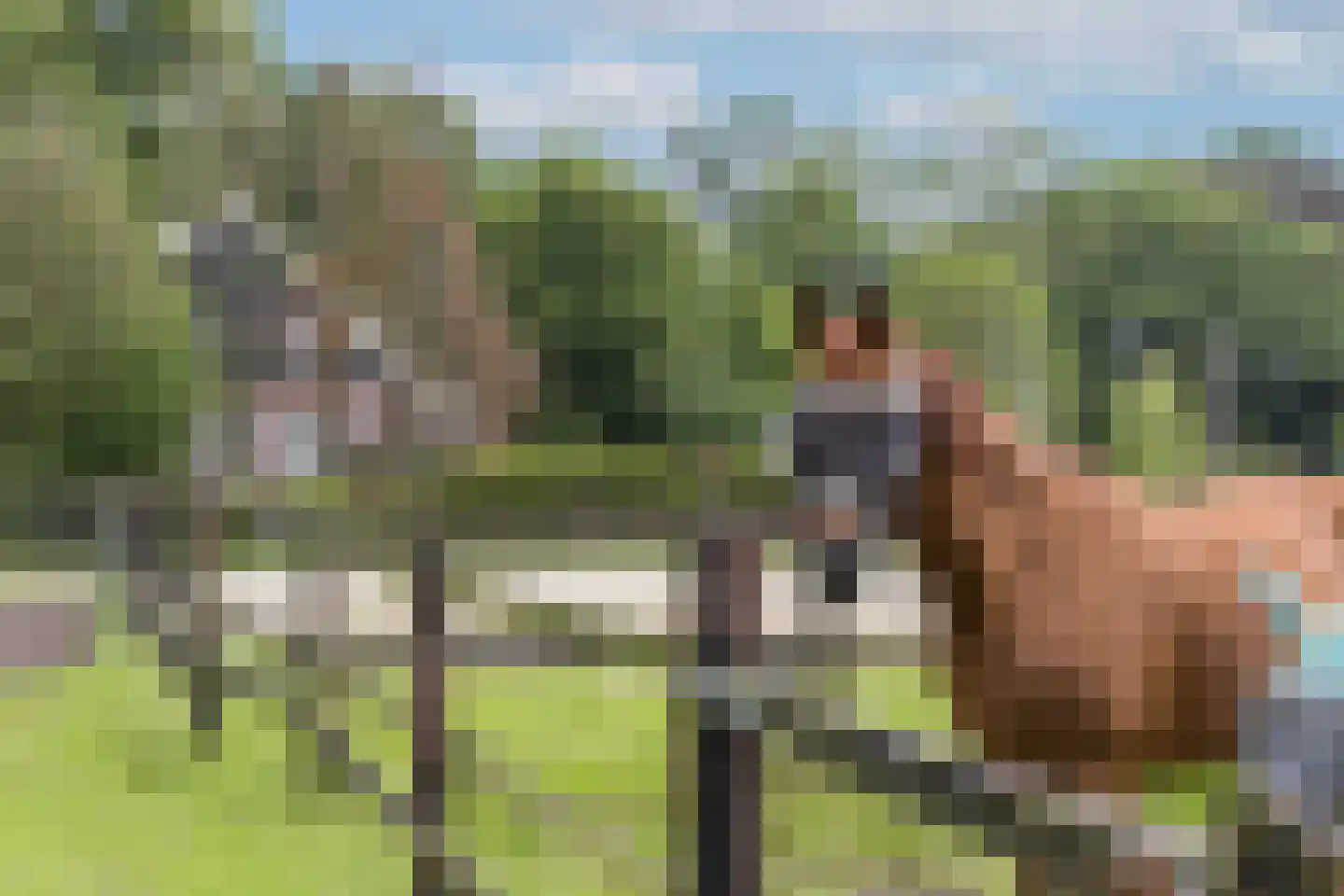 Roolvinkweg 30 Enschede thumbnail 73