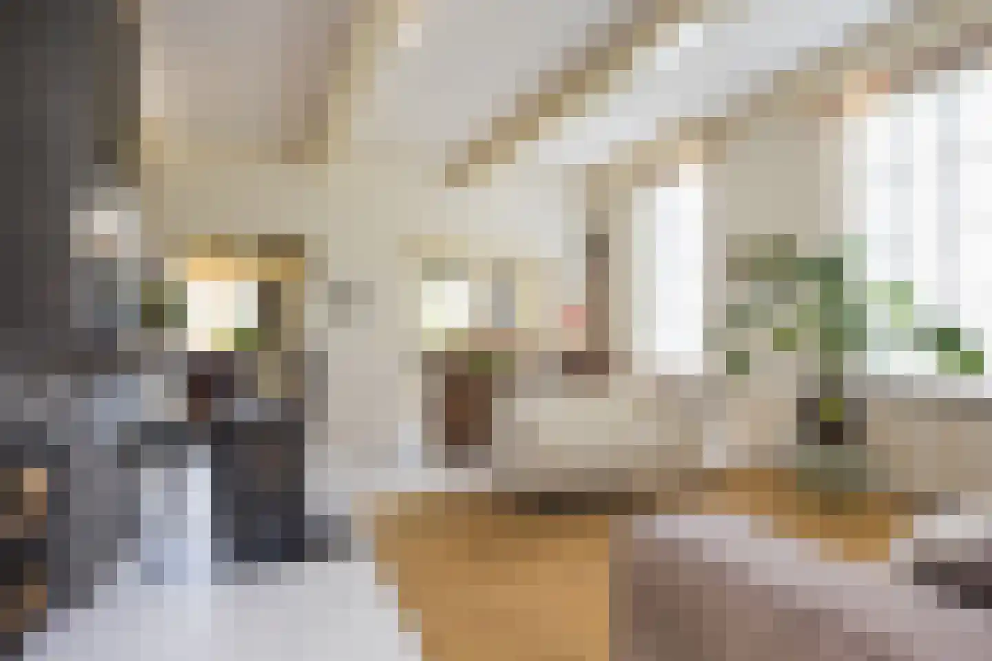 Roolvinkweg 30 Enschede thumbnail 9