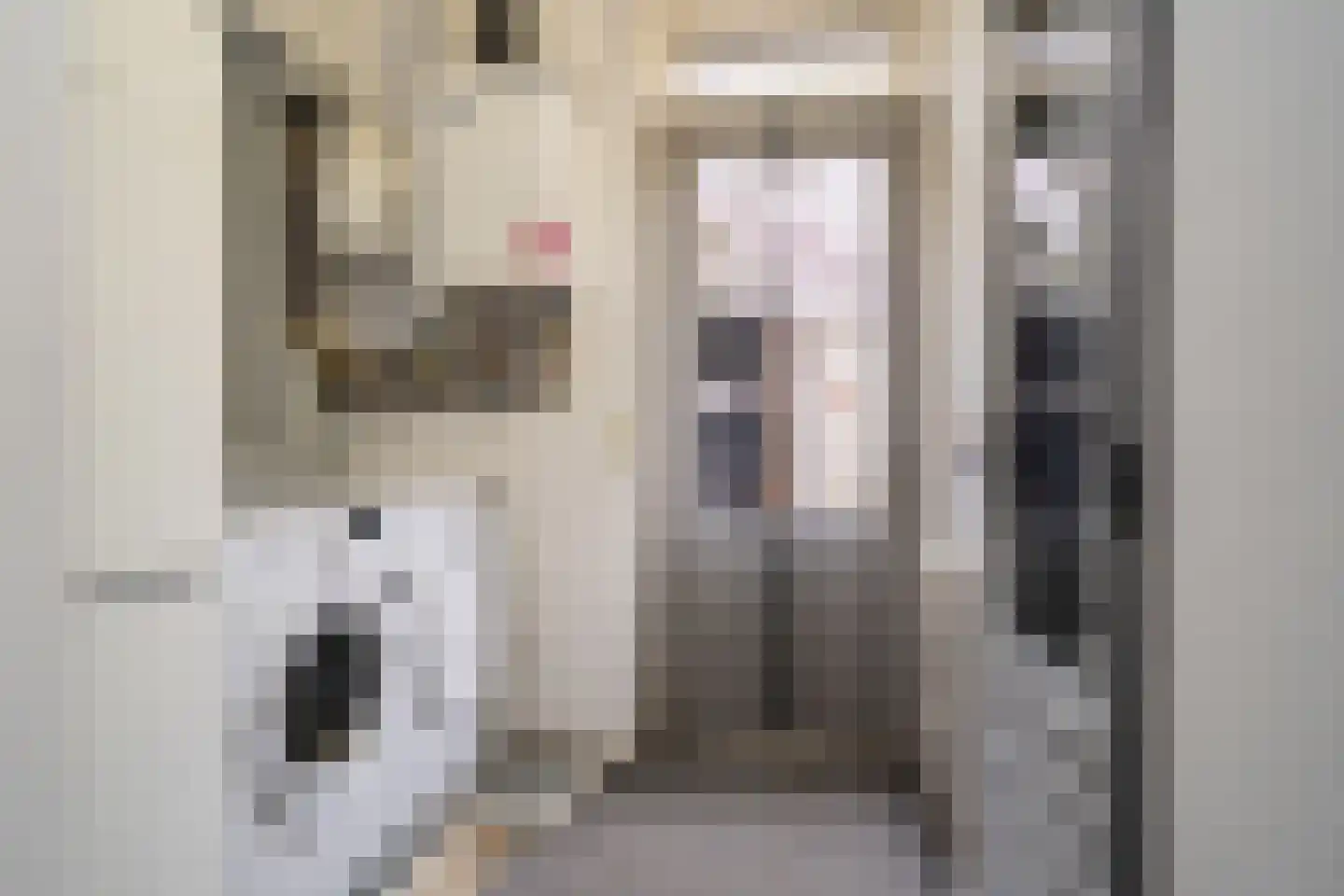 Roombeekstraat 20 Enschede thumbnail 26