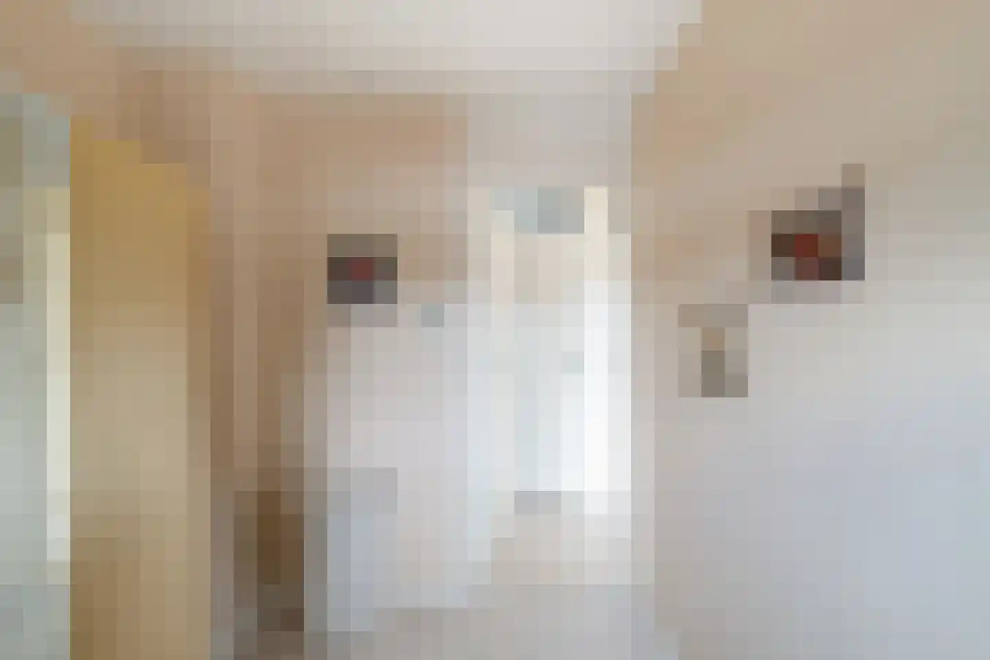 Roombeekstraat 23 Enschede thumbnail 19