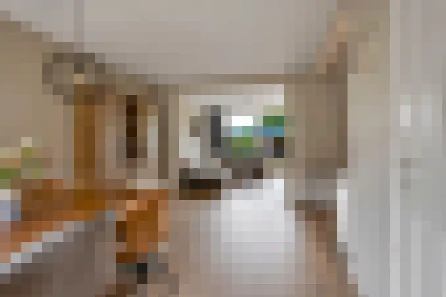 Roombeekstraat 55 Enschede thumbnail 11