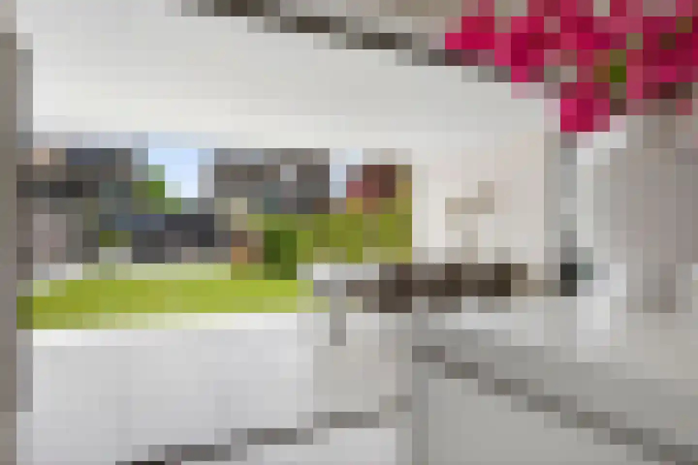 Roombekerveld 60 Enschede thumbnail 29
