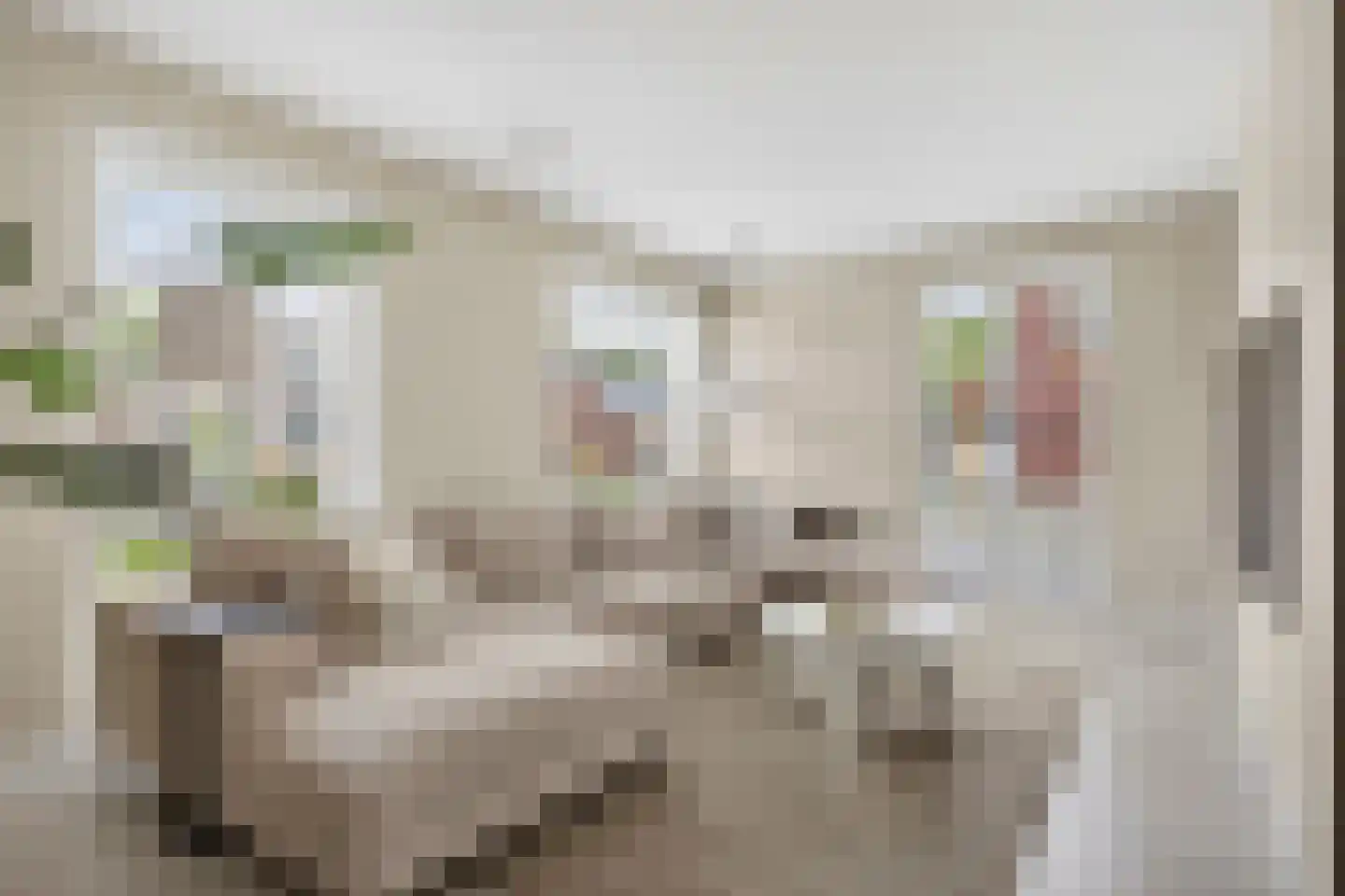 Roombekerveld 60 Enschede thumbnail 9