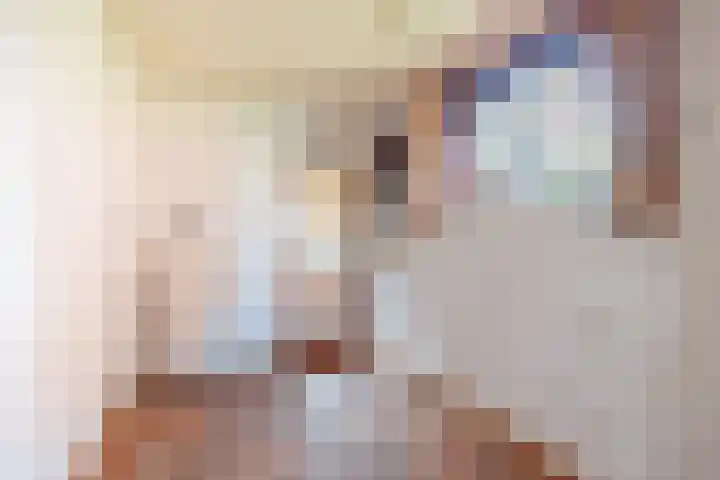 Roomberg 66 Silvolde thumbnail 12