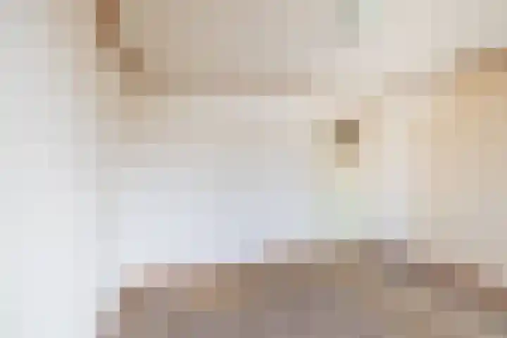 Roomberg 66 Silvolde thumbnail 18