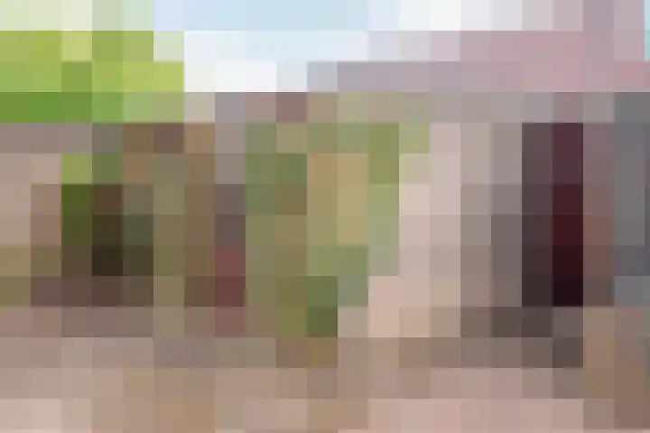 Roomberg 66 Silvolde thumbnail 31