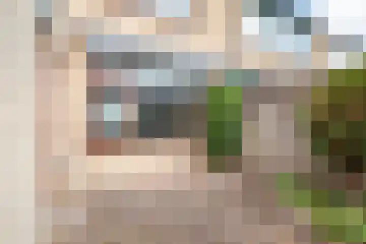 Roomberg 66 Silvolde thumbnail 33