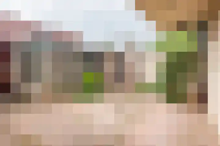 Roomberg 66 Silvolde thumbnail 34