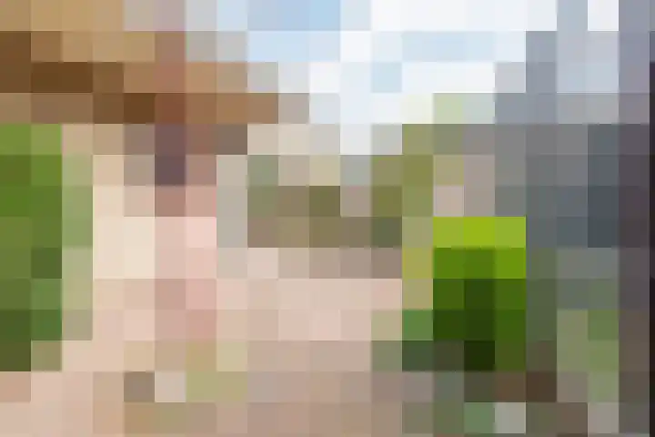 Roomberg 66 Silvolde thumbnail 35