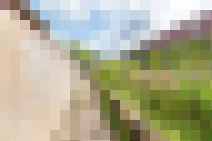 Roomberg 66 Silvolde thumbnail 37