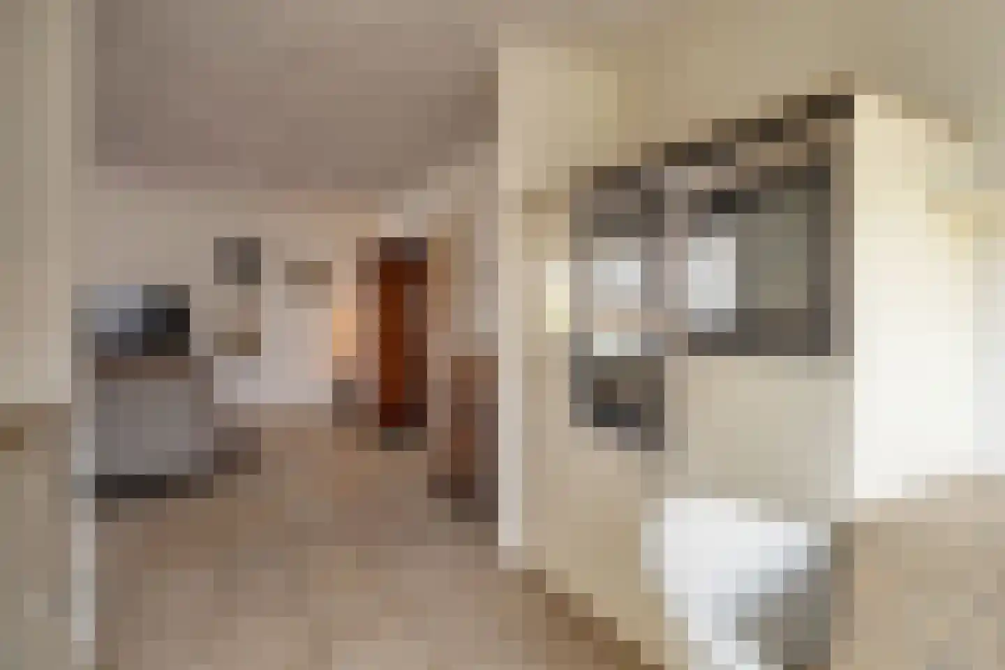 Roomberg 66 Silvolde thumbnail 4