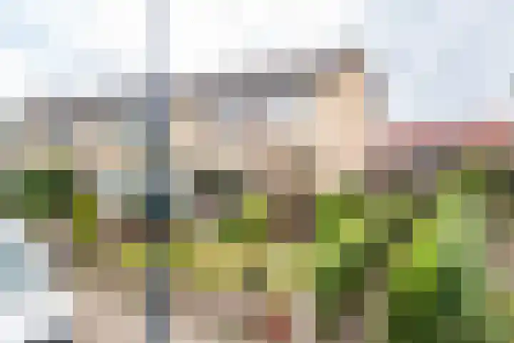 Roomberg 66 Silvolde thumbnail 43