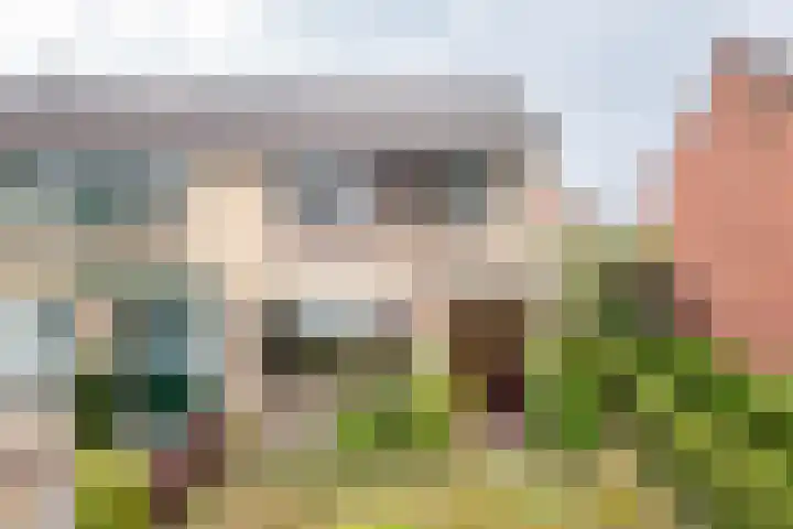 Roomberg 66 Silvolde thumbnail 5