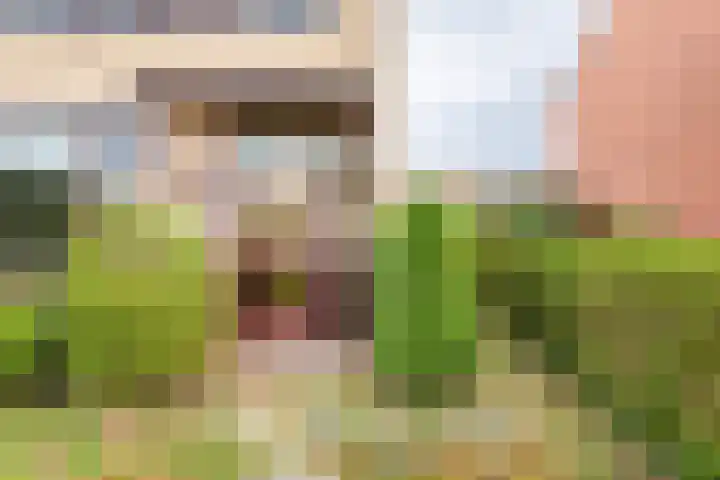 Roomberg 66 Silvolde thumbnail 6