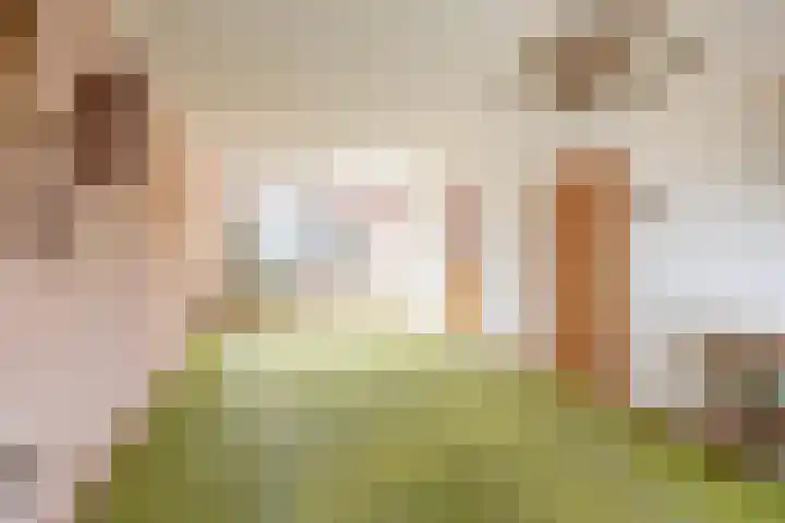 Roomberg 66 Silvolde thumbnail 9