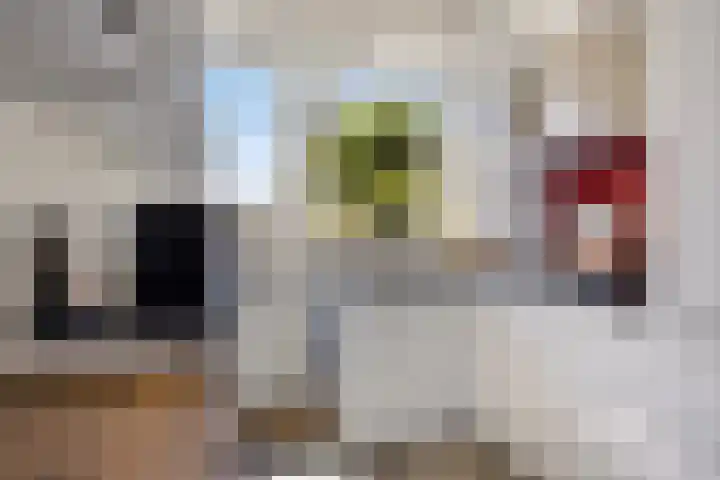 Roomburgerlaan 13 Leiden thumbnail 11