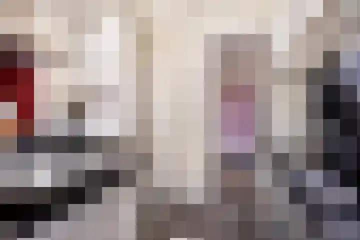 Roomburgerlaan 13 Leiden thumbnail 12
