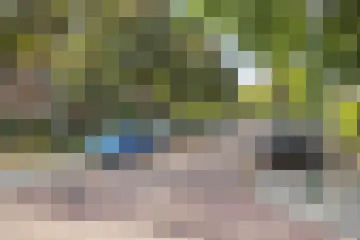 Roomburgerlaan 13 Leiden thumbnail 20