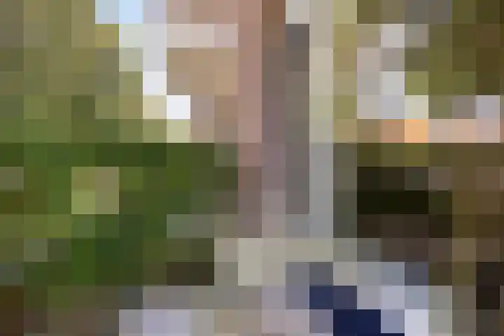 Roomburgerlaan 13 Leiden thumbnail 5