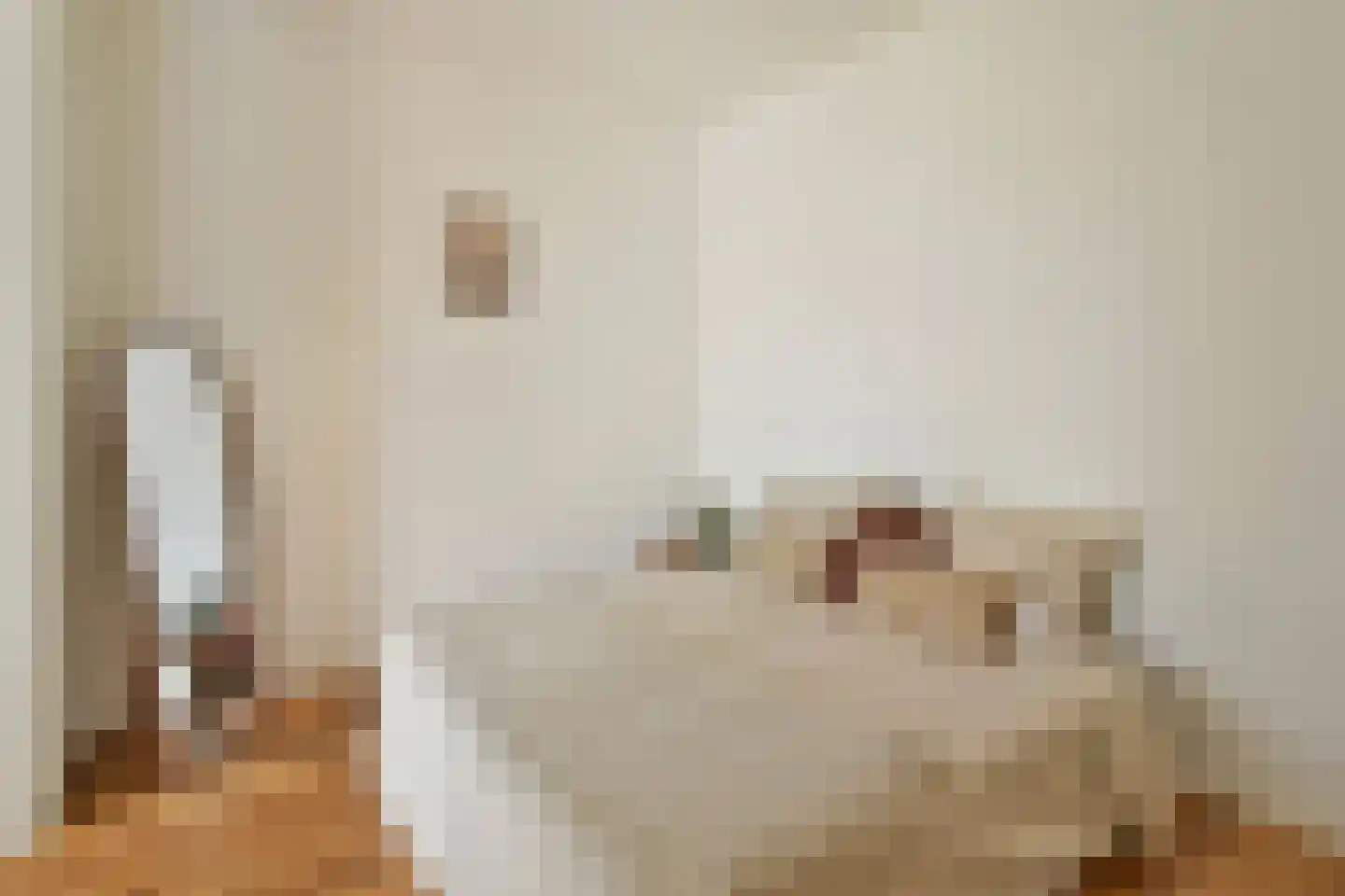 Roomburgerlaan 18 B Leiden thumbnail 14