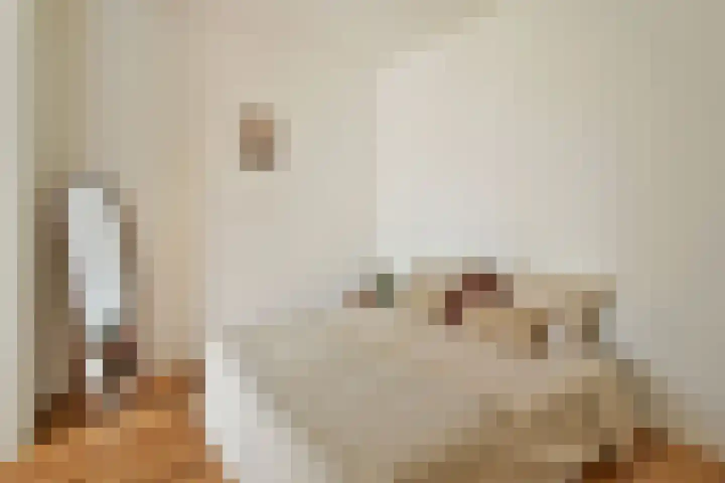 Roomburgerlaan 18 B Leiden thumbnail 15