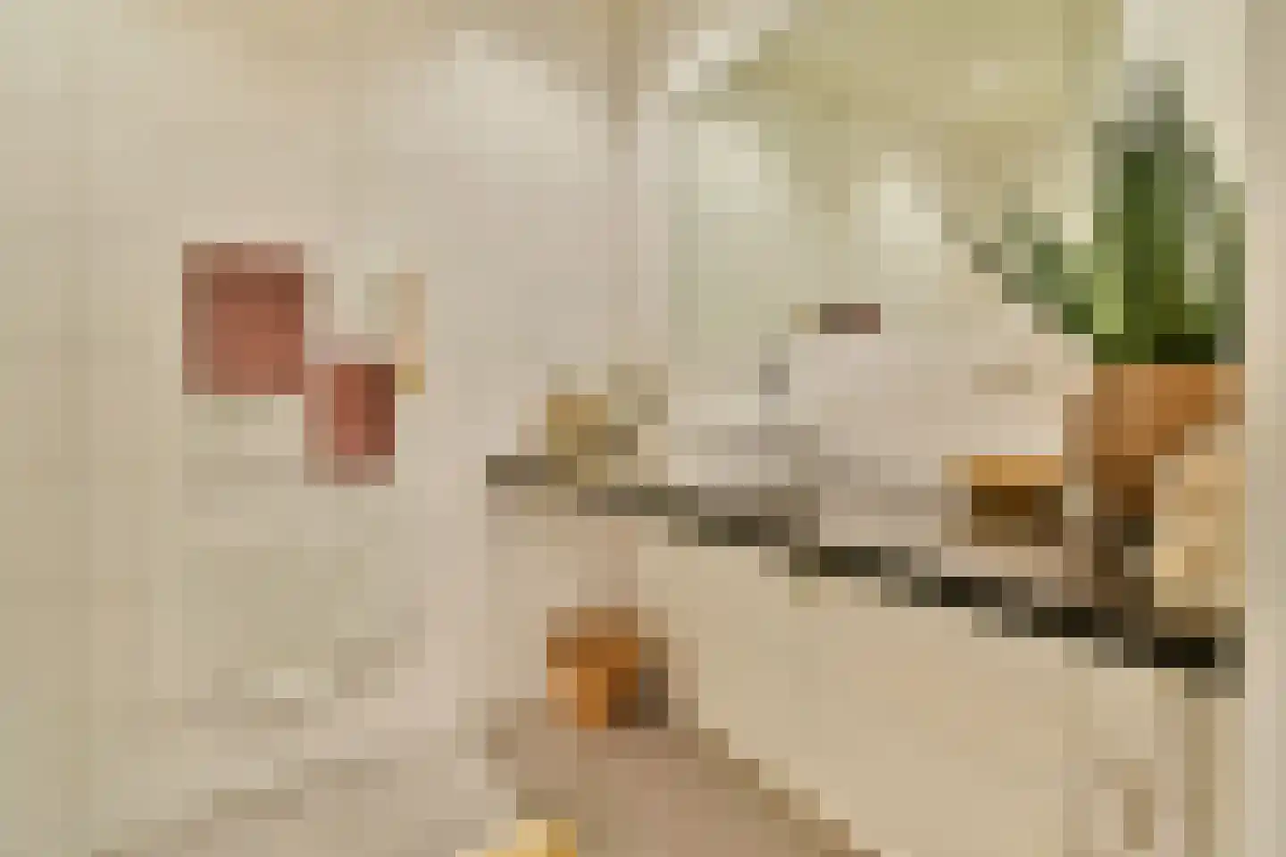 Roomburgerlaan 18 B Leiden thumbnail 17