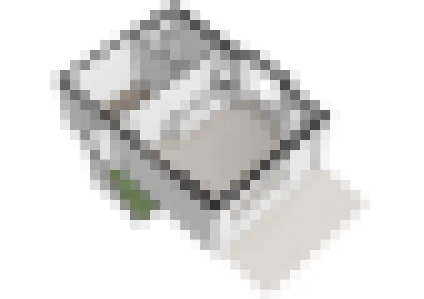 Roomburgerlaan 18 B Leiden thumbnail 23