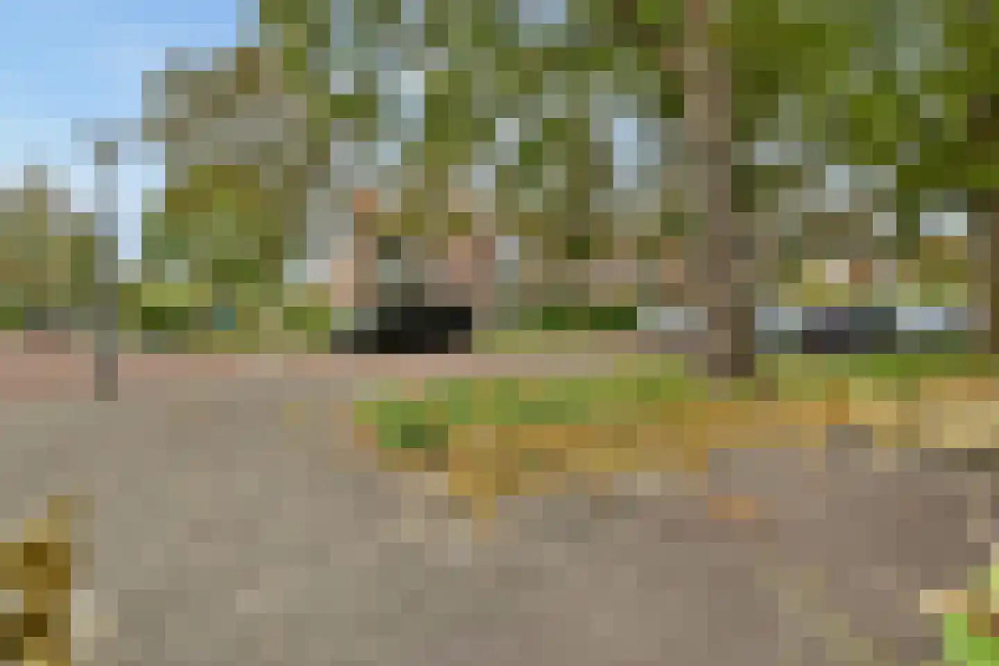 Roomburgerlaan 18 B Leiden thumbnail 4