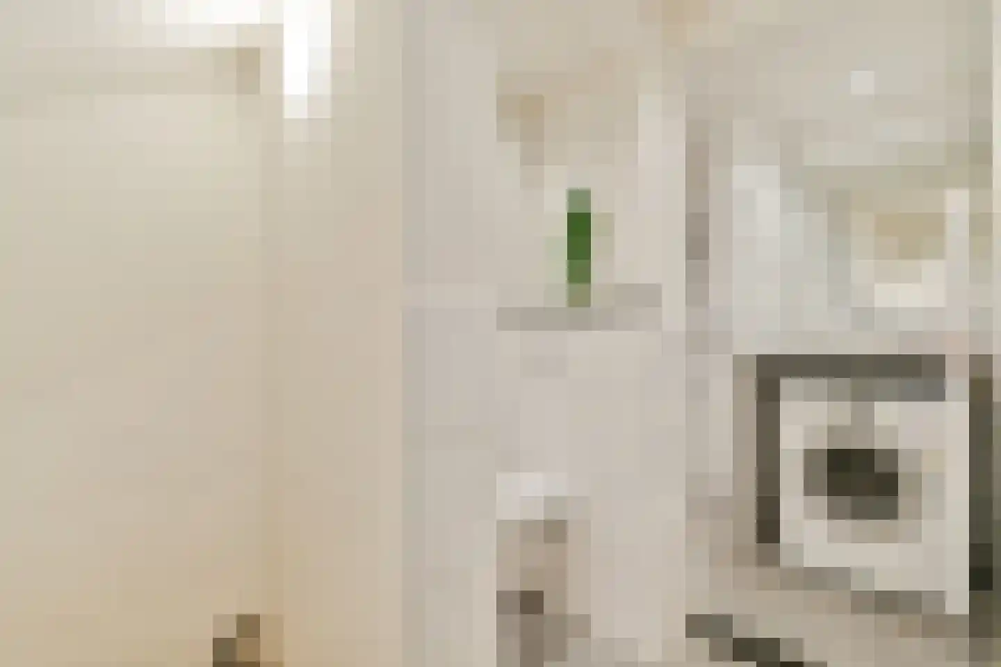 Roomburgerlaan 18 Leiden thumbnail 12