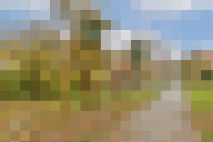 Roomburgerlaan 18 Leiden thumbnail 15