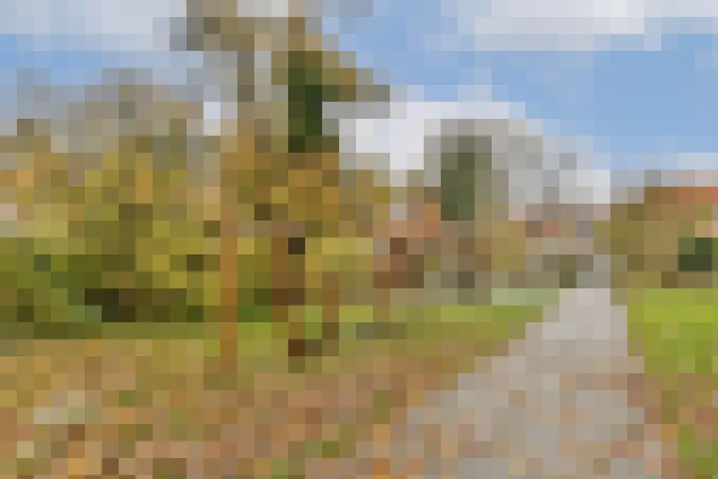 Roomburgerlaan 18 Leiden thumbnail 15
