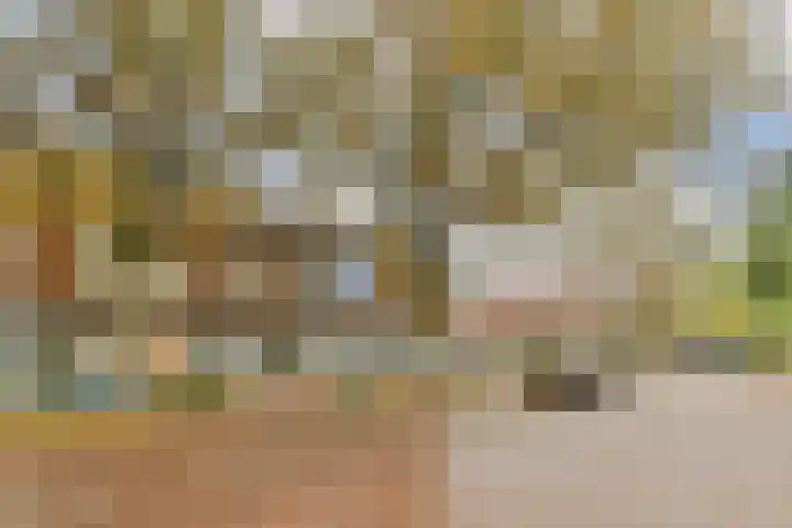 Roomburgerlaan 18 Leiden thumbnail 16